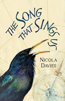 The Song that Sings Us - Davies Nicola