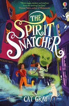 The Spirit Snatcher - Cat Gray
