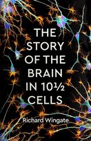The Story of the Brain in 101/2 Cells Richard Wingate