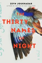 The Thirty Names of Night Joukhadar Zeyn