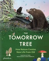 The Tomorrow Tree. How Nature Creates New Life From Old Michno Maciej