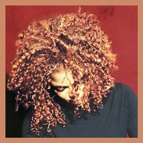 The Velvet Rope Janet Jackson