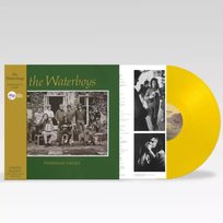 The Waterboys: Fisherman's Blues Coloured Yellow Vinyl, płyta winylowa Unknown, The Waterboys