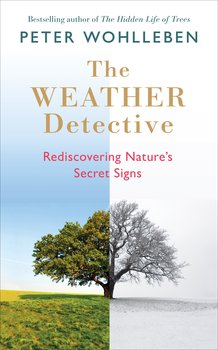 The Weather Detective - Wohlleben Peter