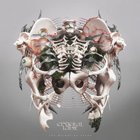 The Weight of Sound Crystal Lake