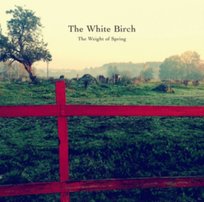 The Weight Of Spring The White Birch