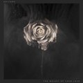 The Weight of Your Love (Deluxe Edition) - Editors