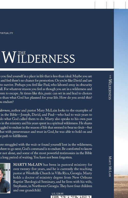 The Wilderness - Mclain Marty | Książka W Empik