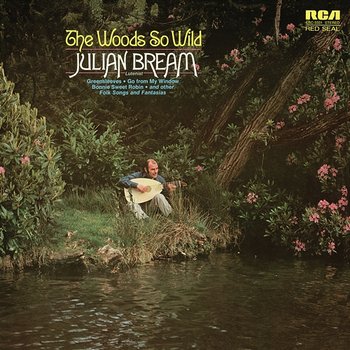 The Woods So Wild - Julian Bream