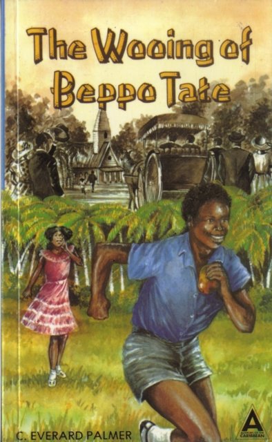 Beapoo The Wooing of Beppo Tate - C.Everard Palmer | Książka w Empik