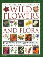 The World Encyclopedia of Wild Flowers & Flora: An Expert Reference and Identification Guide to Over 1730 Wild Flowers and Plants from Every Continent Lavelle Michael