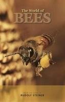 The World of Bees - Rudolf Steiner