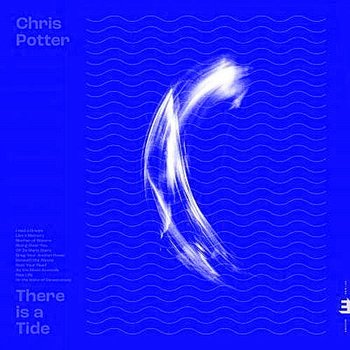 There Is a Tide, płyta winylowa - Potter Chris