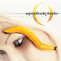 Thirteenth Step A Perfect Circle