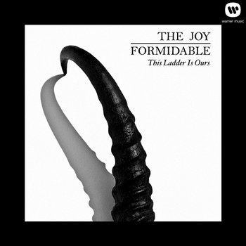 This Ladder Is Ours - The Joy Formidable