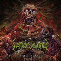 Those Of The Morbid Leper Colony