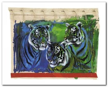 Three Tigers plakat obraz 30x24cm - Wizard+Genius