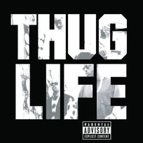The Best Of 2Pac - Part.2: Life, płyta winylowa - 2 Pac