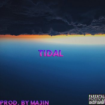 Tidal - Slim Tidal