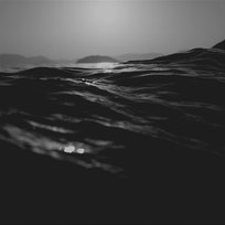 Tides of Emotion Scott Buckley