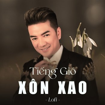 Tiếng Gió Xôn Xao (lofi) - Đàm Vĩnh Hưng