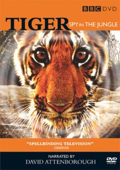 Tiger: Spy in the Jungle (brak polskiej wersji językowej) - Downer John