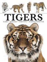 Tigers Paula Hammond
