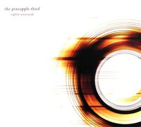 Tightly Unwound The Pineapple Thief