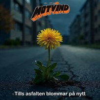 Tills asfalten blommar på nytt Motvind