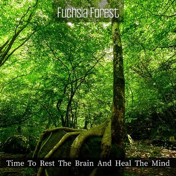 Time to Rest the Brain and Heal the Mind - Fuchsia Forest