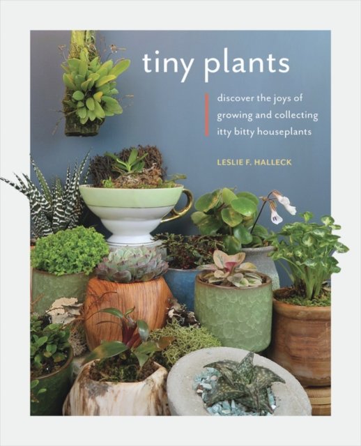 Tiny Plants Discover the joys of growing and collecting ittybitty