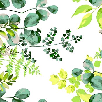 Tkanina bawełniana liście eukaliptusa zielone na białym tle - 220cm - ANTEX