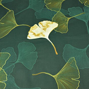 Tkanina bawełniana liście miłorząb na ciemno zielonym tle - ANTEX