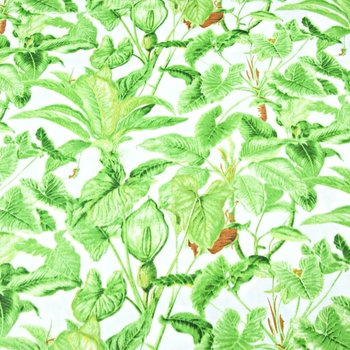 Tkanina bawełniana liście zielone w dżungli na białym tle - 220cm - ANTEX