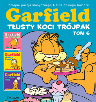 Tłusty koci trójpak. Garfield. Tom 6 - Davis Jim