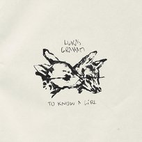 To Know a Girl Lukas Graham