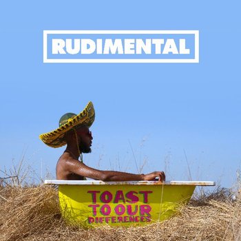 Toast To Our Differences, płyta winylowa - Rudimental