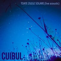 Toate zilele solare Cuibul