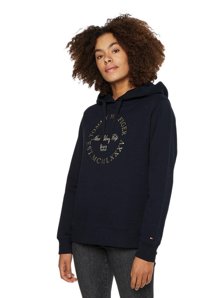 Tommy hilfiger metallic online hoodie