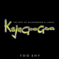 Too Shy: The Best Of Kajagoogoo & Limahl Kajagoogoo And Limahl