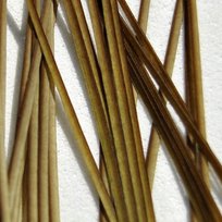 Top Fly Promienie pawiego pióra 25szt. Olive