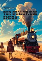 Tor Stalowego Smoka Grey Zane