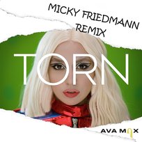 Torn Ava Max
