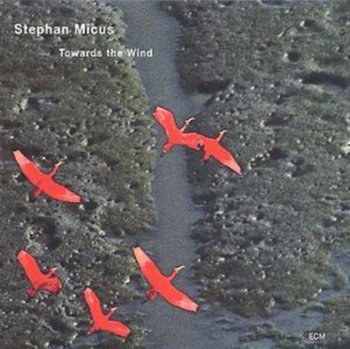 Towards the Wind - Micus Stephan