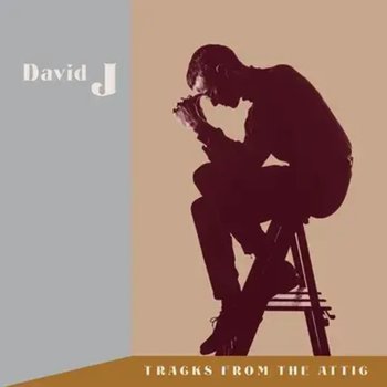 Tracks From The Attic (czerwony winyl) - David J