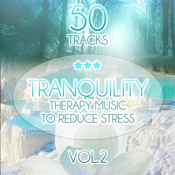Tranquility: Therapy Music to Reduce Stress, Relaxing Sounds of Nature (Birds, Water, Sound of the Sea) Trouble Sleeping, Meditation, Yoga, Help with Learning, Spa & Massage vol. 2 - Tranquility Spa Universe
