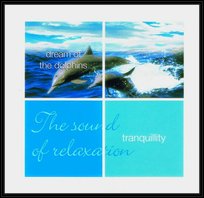 Tranquillity: Dream Of Dolphins Various Artists