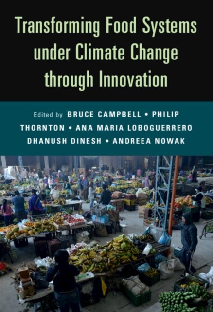 Transforming Food Systems Under Climate Change Through Innovation ...