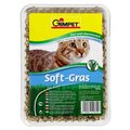 Trawa dla kotów GIMPET Soft Grass, 100 g. - Gimpet