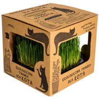 Szczególnie polecamy